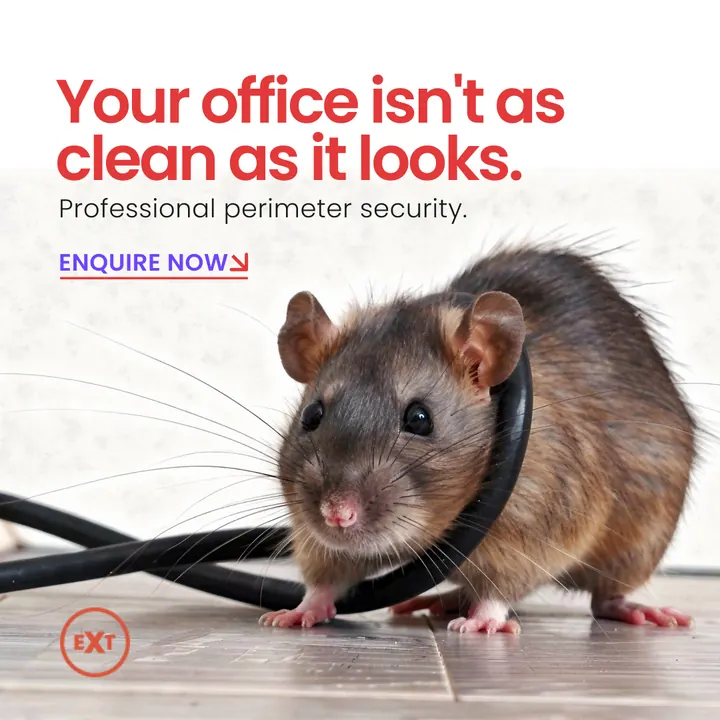 The Exterminator ad: your office isn't as clean as it looks