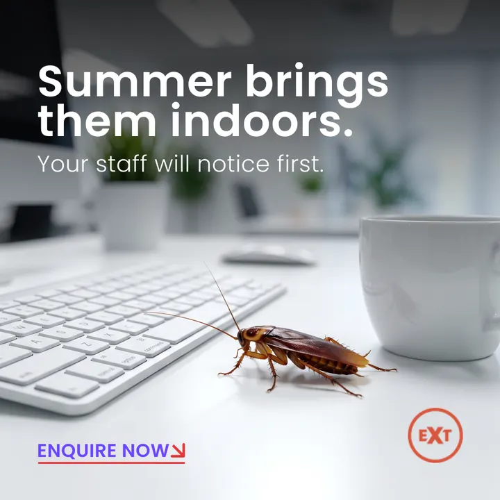 The Exterminator ad: summer brings them indoors