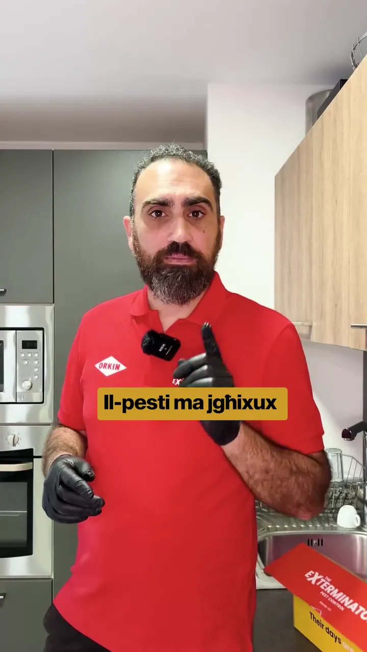 The Exterminator video ad in Maltese, filmed in a kitchen, opening on the line Il-pesti ma jghixux