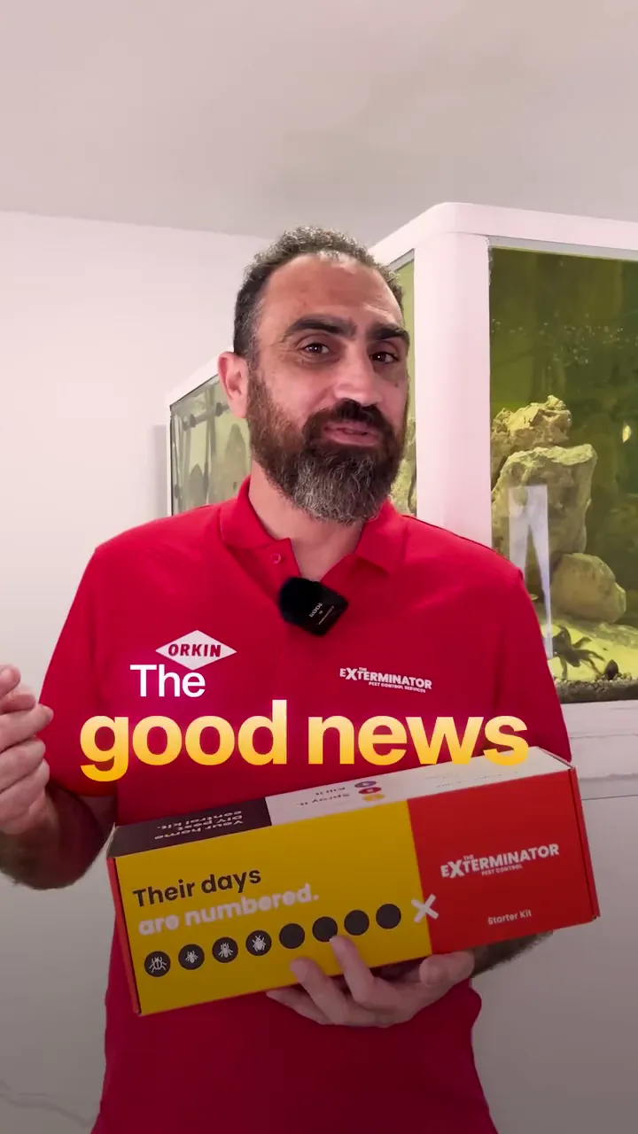 The Exterminator video ad in English: the good news, holding the product box